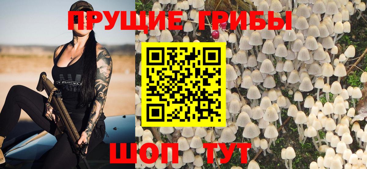 Ревда  Псилоцибиновые грибы GOLDEN TEACHER  Галлюциногенные грибы ЛСД  Вход с VPN 